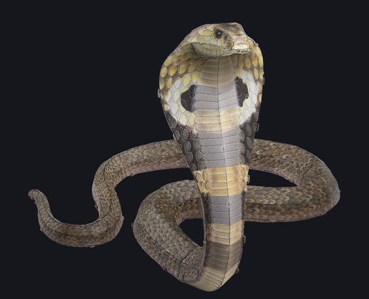 Metal Earth Cobra Metal Model