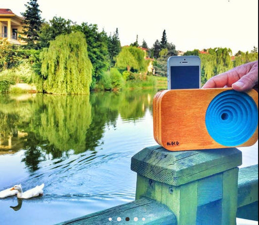 Blue Wood Sound System